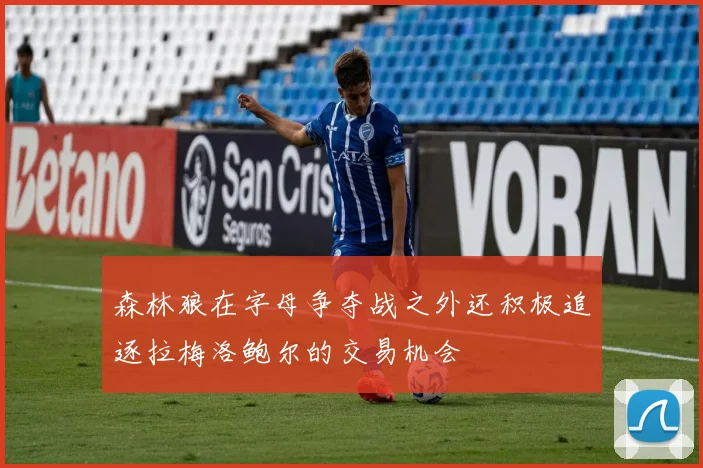 森林狼在字母争夺战之外还积极追逐拉梅洛鲍尔的交易机会