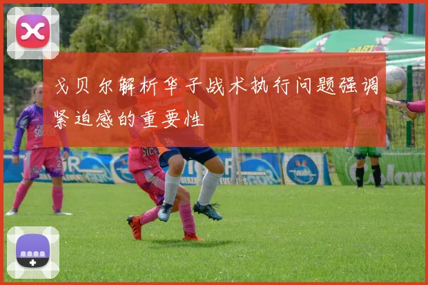 戈贝尔解析华子战术执行问题强调紧迫感的重要性