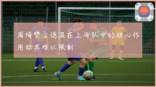 周琦赞古德温在上海队中的核心作用称其难以限制